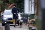 Zuiderwoude 18 november 2022
Thijs Romer laat zijn honden uit .