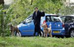 Omgeving Amsterdam 14 oktober 2023
Igone de Jongh heeft een nieuw huis na haar scheiding van Thijs Romer . Igone laat allebei de honden uit.