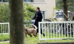Omgeving Amsterdam 14 oktober 2023
Igone de Jongh heeft een nieuw huis na haar scheiding van Thijs Romer . Igone laat allebei de honden uit.