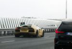 Amsterdam 15 oktober 2023
Eeen Ferrari F12 en Lamborghini Aventador op de A10