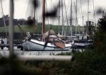 Muiden 21 oktober 2023
Lemster Aak bij de Lomnonklijke jachthaven .