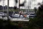 Muiden 21 oktober 2023
Lemster Aak bij de Lomnonklijke jachthaven .