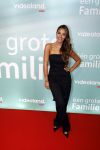 Amsterdam 10 oktober 2023
Premiere een grote familie in Tuschinski . Vidoeland gaat het uitzenden. Monica Geuze