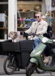 Amsterdam 8 oktober 2024
Davy Klaassen en zijn zwangere vrouw Laura Klaassen-Benschop  op de fiets in Amsterdam . Voorop zijn fiets in de speciale bak zit hun hond Bulldog Rio