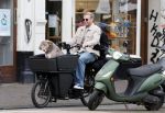 Amsterdam 8 oktober 2024
Davy Klaassen en zijn zwangere vrouw Laura Klaassen-Benschop  op de fiets in Amsterdam . Voorop zijn fiets in de speciale bak zit hun hond Bulldog Rio