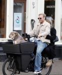 Amsterdam 8 oktober 2024
Davy Klaassen en zijn zwangere vrouw Laura Klaassen-Benschop  op de fiets in Amsterdam . Voorop zijn fiets in de speciale bak zit hun hond Bulldog Rio