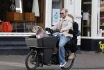 Amsterdam 8 oktober 2024
Davy Klaassen en zijn zwangere vrouw Laura Klaassen-Benschop  op de fiets in Amsterdam . Voorop zijn fiets in de speciale bak zit hun hond Bulldog Rio