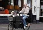 Amsterdam 8 oktober 2024
Davy Klaassen en zijn zwangere vrouw Laura Klaassen-Benschop  op de fiets in Amsterdam . Voorop zijn fiets in de speciale bak zit hun hond Bulldog Rio
