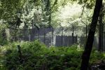 Lage Vuursche 28 juli 2023
Palijs Drakensteyn van prinss Beatrix . De poort is geschilderd en in de tuin staan hekken met donkee doeken voor privacy . Naast het landgoed is een stuk bouwgrond te koop.