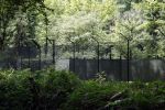 Lage Vuursche 28 juli 2023
Palijs Drakensteyn van prinss Beatrix . De poort is geschilderd en in de tuin staan hekken met donkee doeken voor privacy . Naast het landgoed is een stuk bouwgrond te koop.