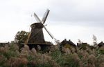 Weesp 4 oktober 2025
De molen in Weesp tijdens storm