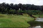 Kuala Lumpur 
Kota Permai Golfbaan
Golfen Maleisie