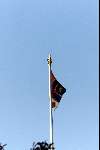 Soestdijk 12 november 1999
Vlag