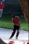 Marbella 12 november 2000
 Golfclub Valderrama American Express Championships.
Tiger Woods  golfen   bunkerslag