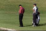 Marbella 12 november 2000
 Golfclub Valderrama American Express Championships.
Tiger Woods  golfen