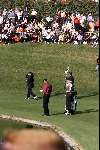 Marbella 12 november 2000
 Golfclub Valderrama American Express Championships.
Tiger Woods  golfen