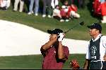 Marbella 12 november 2000
 Golfclub Valderrama American Express Championships.
Tiger Woods  golfen