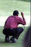 Marbella 12 november 2000
 Golfclub Valderrama American Express Championships.
Tiger Woods  golfen putten