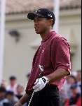 Marbella 12 november 2000
 Golfclub Valderrama American Express Championships.
Tiger Woods  golfen