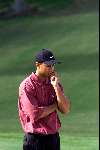 Marbella 12 november 2000
 Golfclub Valderrama American Express Championships.
Tiger Woods  golfen