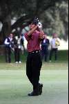 Marbella 12 november 2000
 Golfclub Valderrama American Express Championships.
Tiger Woods  golfen
