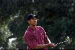 Marbella 12 november 2000
 Golfclub Valderrama American Express Championships.
Tiger Woods  golfen