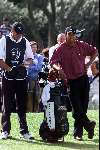 Marbella 12 november 2000
 Golfclub Valderrama American Express Championships.
Tiger Woods met caddy golfen