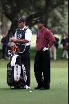 Marbella 12 november 2000
 Golfclub Valderrama American Express Championships.
Tiger Woods met zijn caddy golfen