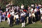 Marbella 12 november 2000
Club de Golf Valderrama
Beroemde hole 17
Schitterende mooie foto  Golfen  Veel publiek