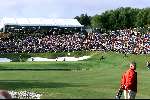 Marbella 12 november 2000
Club de Golf Valderrama
Beroemde hole 17
Schitterende mooie foto  Golfen