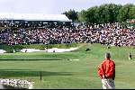 Marbella 12 november 2000
Club de Golf Valderrama
Beroemde hole 17
Schitterende mooie foto  Golfen