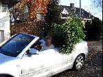 Barneveld 18 november 2003
Edwin Smulders met Audi a4 cabrio met struiken