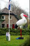 Castricum 23 november 2003
Frank La croix met grote ooievaar in tuin na geboorte zoon en kleinzoon Henny Huisman