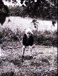 Edwin Smulders in 1971



PETER SMULDERS BV