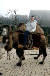 Fijnaart 25 november 2004
Frans Bauer en familie opnames met Kamelen