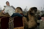Fijnaart 25 november 2004
Frans Bauer en familie opnames met kamelen