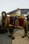 Fijnaart 25 november 2004
Frans Bauer en familie opnames met Sinterklaas en Kamelen.