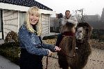 Fijnaart 25 november 2004
Frans Bauer en familie opnames met Sinterklaas en Kamelen.   Frans Bauer en Mariska Bauer zwanger