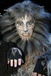 Rotterdam 7 oktober 2006
Premiere Cats in het nieuwe luxor.
Marco Bakker.
