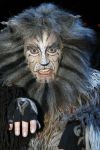 Rotterdam 7 oktober 2006
Premiere Cats in het nieuwe luxor.
Marco Bakker