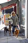 Amsterdam 11 oktober 2006
Tatjana met haar 2 honden aan het winkelen.