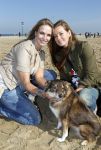 Scheveningen 3 oktober 2010
Dogwalk georganiseerd door de stichting van Bridget Maasland .Astrid v d Bosch en Moon
Peter Smulders bv