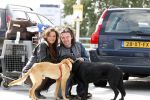 Schiphol 1 oktober 2010
Thierry Duval haalt zijn vriendin Belinda Meuldiejk en Joshi op op schiphol. Belinda heeft 2 verwaarloosde honden mee genomen uit spanje. 
Peter Smulders bv
