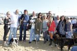 Scheveningen 3 oktober 2010
Dogwalk georganiseerd door de stichting van Bridget Maasland .
Peter Smulders bv