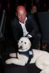 Hilversum 10 oktyober 2012
Gala voor stichting hulphond in studio 21. Frits Wester met vrouw en een puppy
Peter Smulders bv
