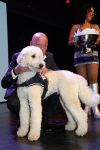 Hilversum 10 oktyober 2012
Gala voor stichting hulphond in studio 21. Frits Wester met vrouw en een puppy
Peter Smulders bv