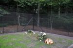 Lage Vuursche 25 september 2013
Het graf van prins Friso met bloemen er op op zijn verjaardag