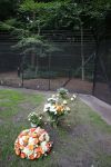 Lage Vuursche 25 september 2013
Het graf van prins Friso met bloemen er op op zijn verjaardag