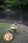 Lage Vuursche 25 september 2013
Het graf van prins Friso met bloemen er op op zijn verjaardag