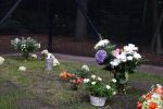 Lage Vuursche 25 september 2013
Het graf van prins Friso met bloemen er op op zijn verjaardag